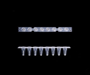 0.2ml八聯(lián)排PCR管，光學平蓋，透明，科進/KIRGEN